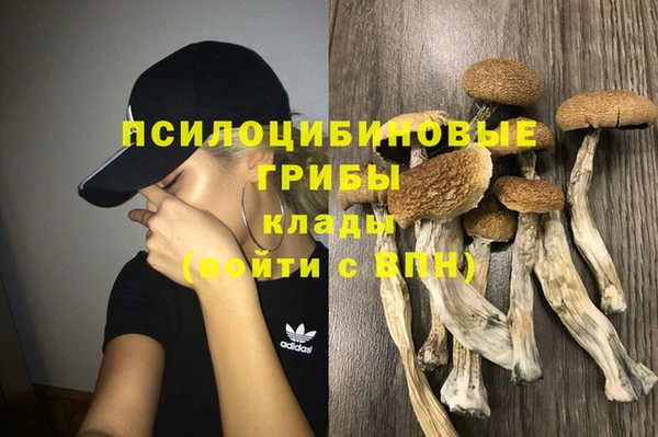 бошки Волоколамск