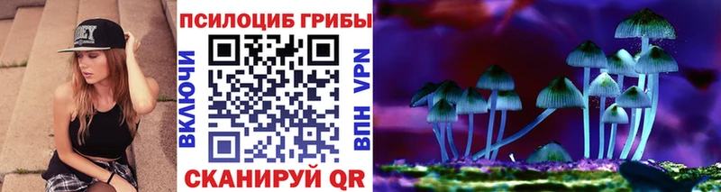 блэк спрут как зайти  Бердск  Галлюциногенные грибы Psilocybine cubensis 